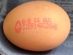 Bunclody Egg Traceability