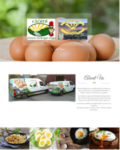 Bunclody Eggs Ltd